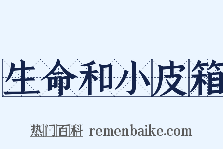 生命和小皮箱是什么意思的图片